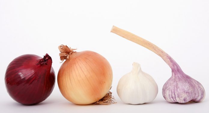 Garlic and Onion Can Help Diabetes Type 2